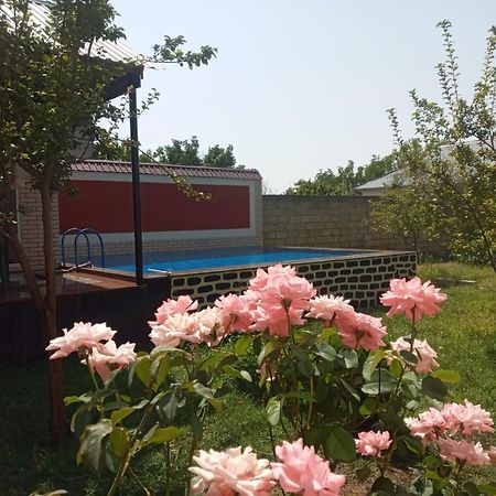 Villa Vilish Габала Экстерьер фото