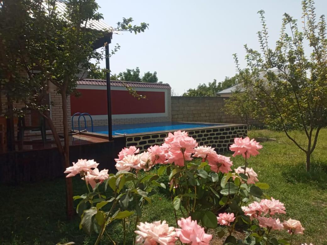 Villa Vilish Габала Экстерьер фото